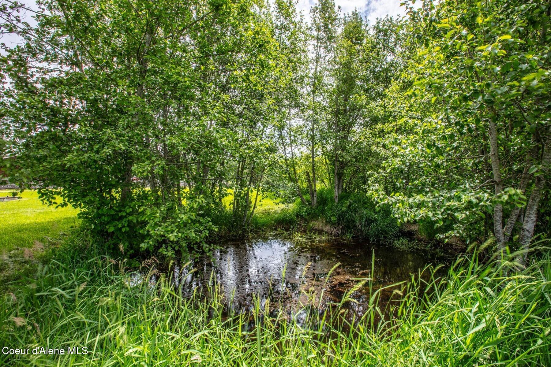 1923 Sagle Road Sagle, ID 83860 - Photo 5 of 42 Year round pond