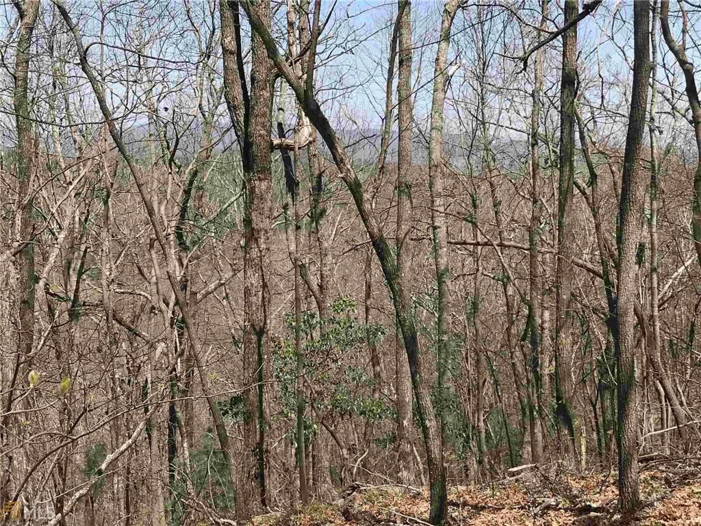 156 Cold Stream Trail Jasper, GA 30143 - Photo 12 of 20