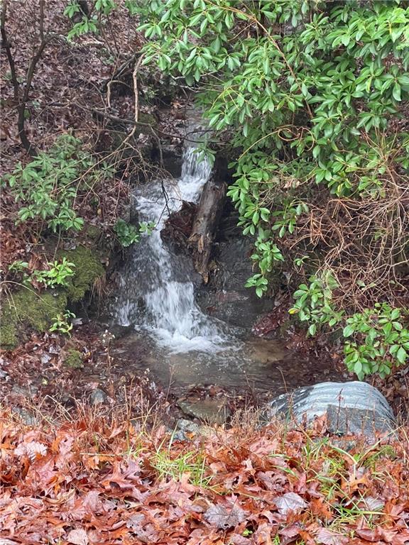 156 Cold Stream Trail Jasper, GA 30143 - Photo 14 of 20