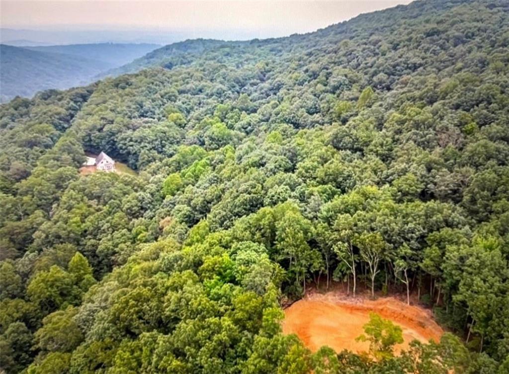 156 Cold Stream Trail Jasper, GA 30143 - Photo 16 of 20