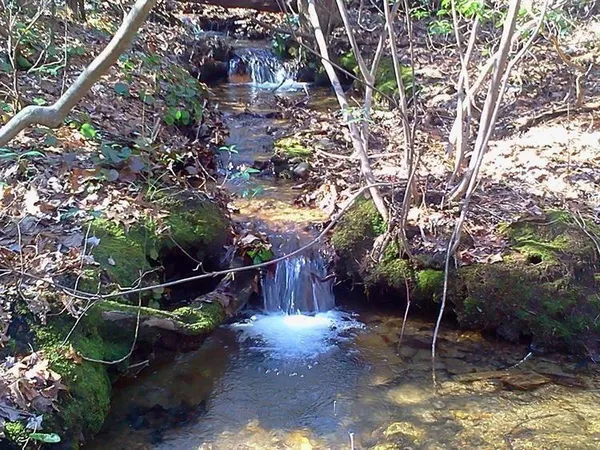 $149,900 | 156 Cold Stream Trail, Jasper, GA 30143