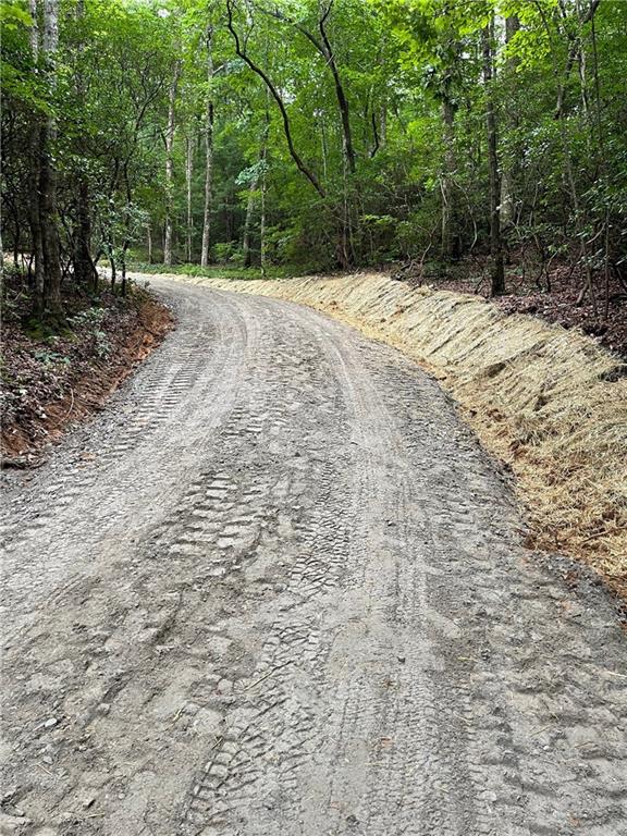 156 Cold Stream Trail Jasper, GA 30143 - Photo 4 of 20