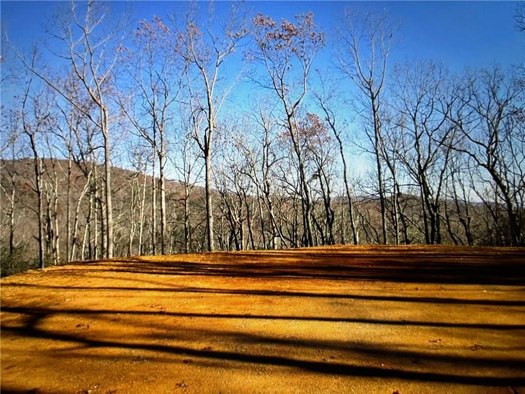 156 Cold Stream Trail Jasper, GA 30143 - Photo 9 of 20