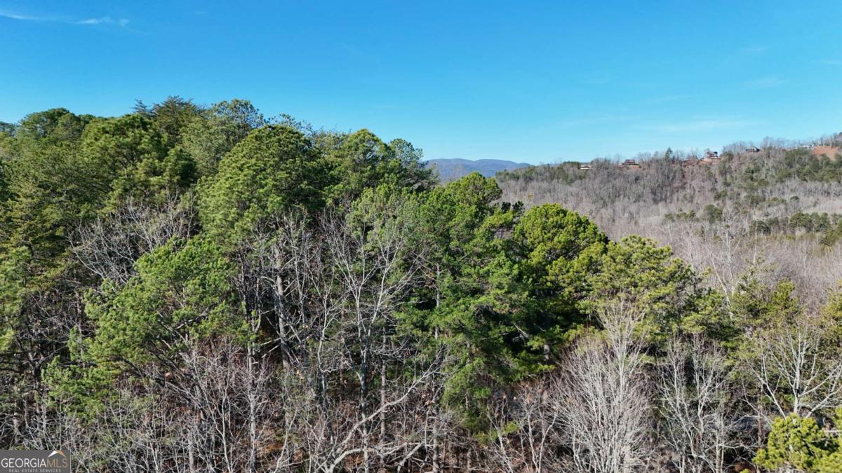 Lot 1 Gold Valley Road Sautee Nacoochee, GA 30571 - Photo 10 of 13