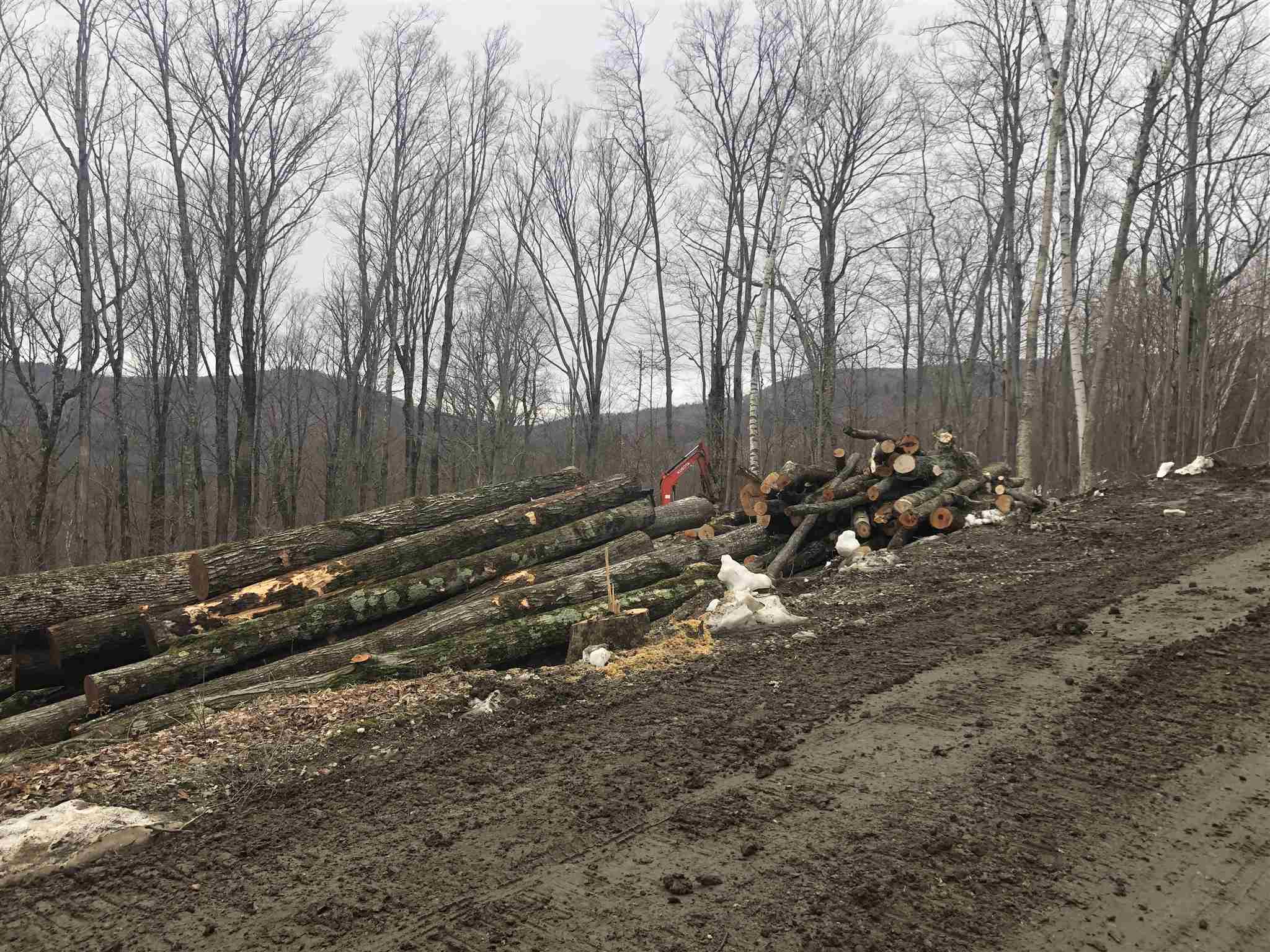 0 Village Road Waitsfield, VT 05673 - Photo 4 of 16 Gallery Image 4