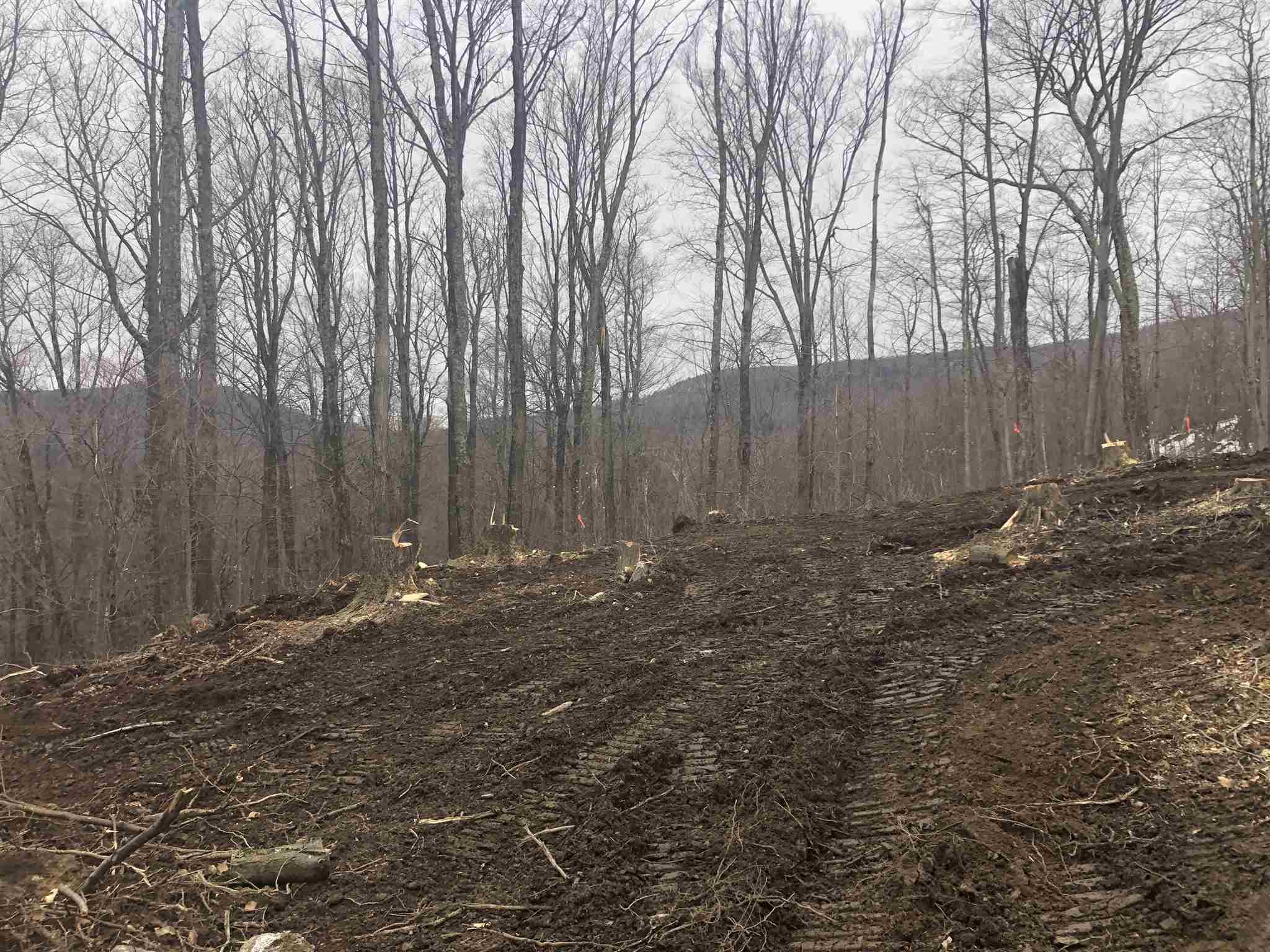 0 Village Road Waitsfield, VT 05673 - Photo 5 of 16 Gallery Image 5