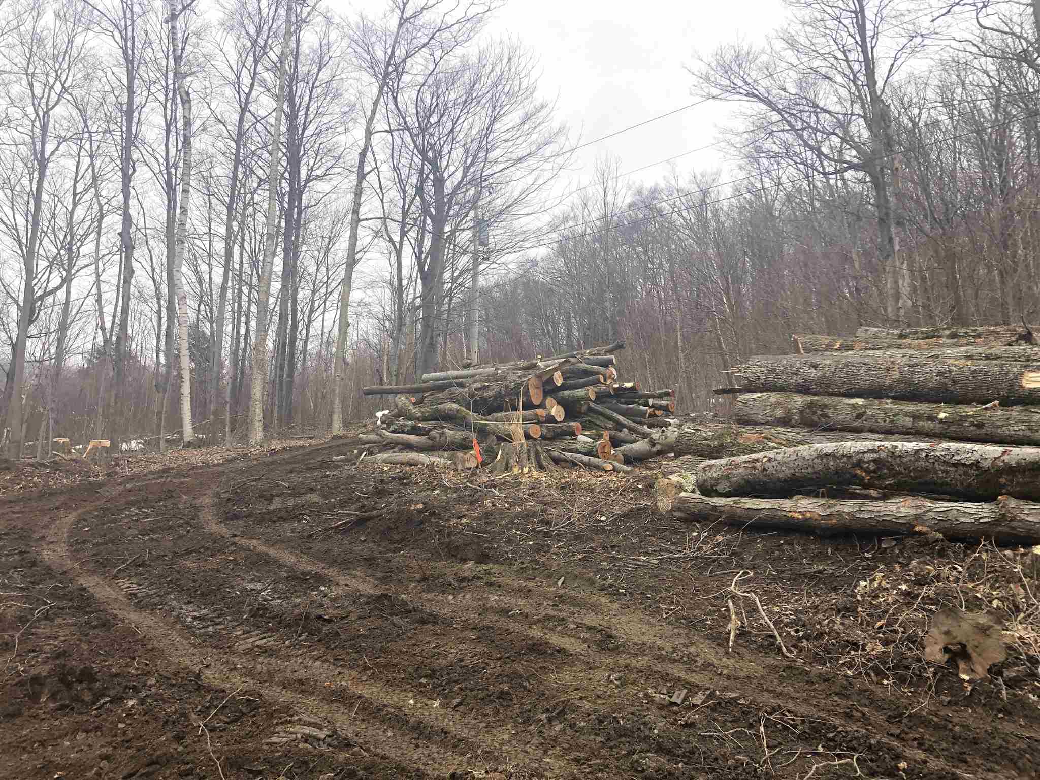 0 Village Road Waitsfield, VT 05673 - Photo 7 of 16 Gallery Image 7