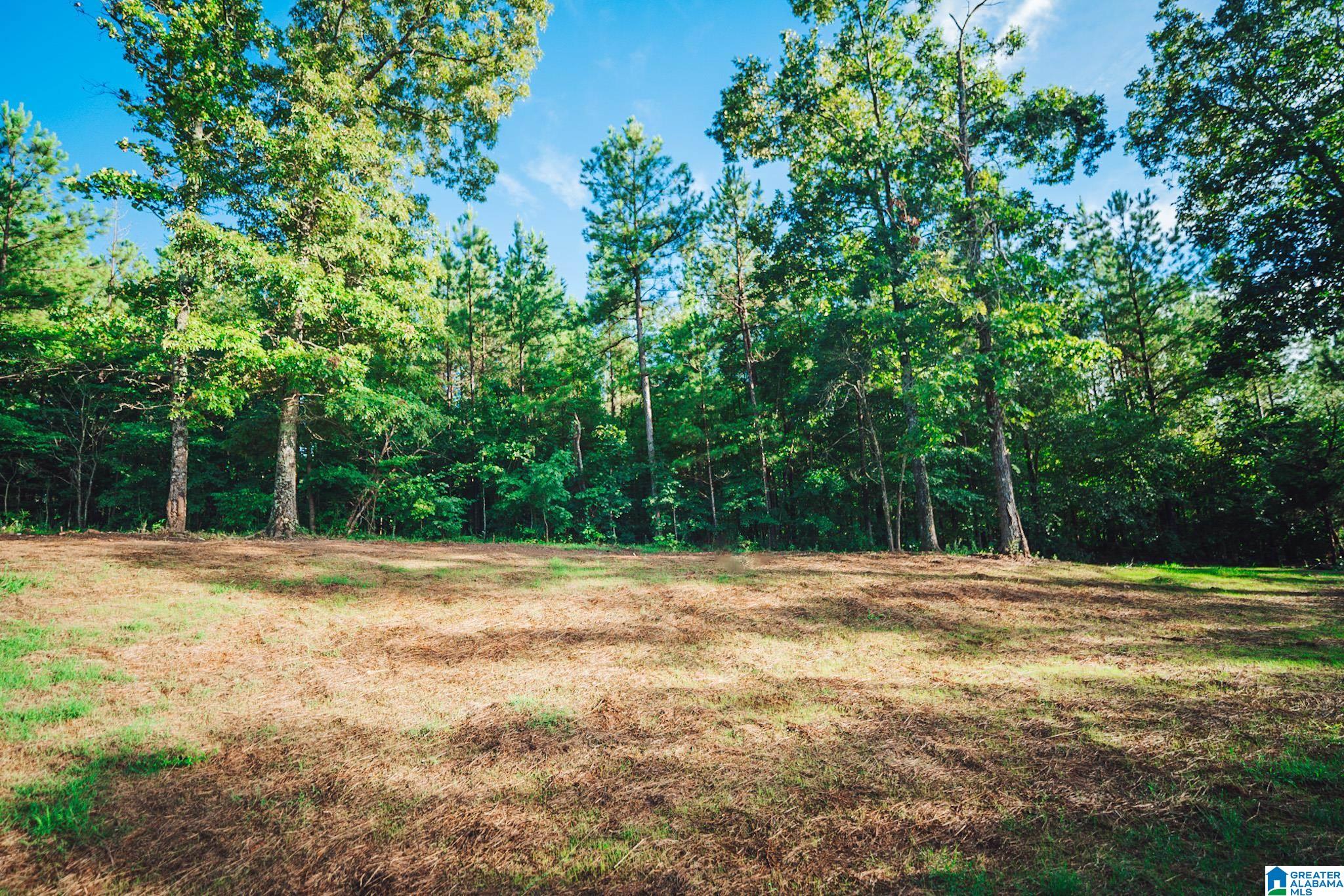 2636 Roy Webb Cutoff Road Piedmont, AL 36272 - Photo 34 of 44