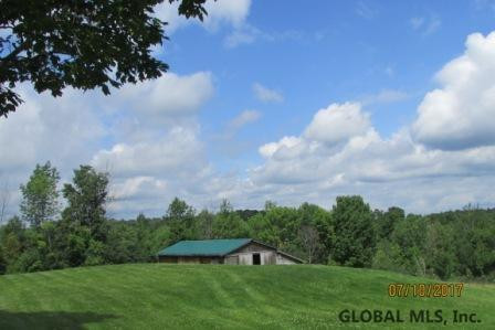 171 Pannis Road Wright, NY 12053 - Photo 20 of 22 Photo 20