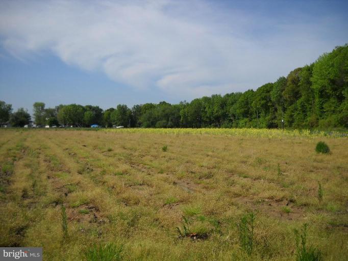 0 Bowleys Quarters Road Middle River, MD 21220 - Photo 3 of 4 6.5 ACRES