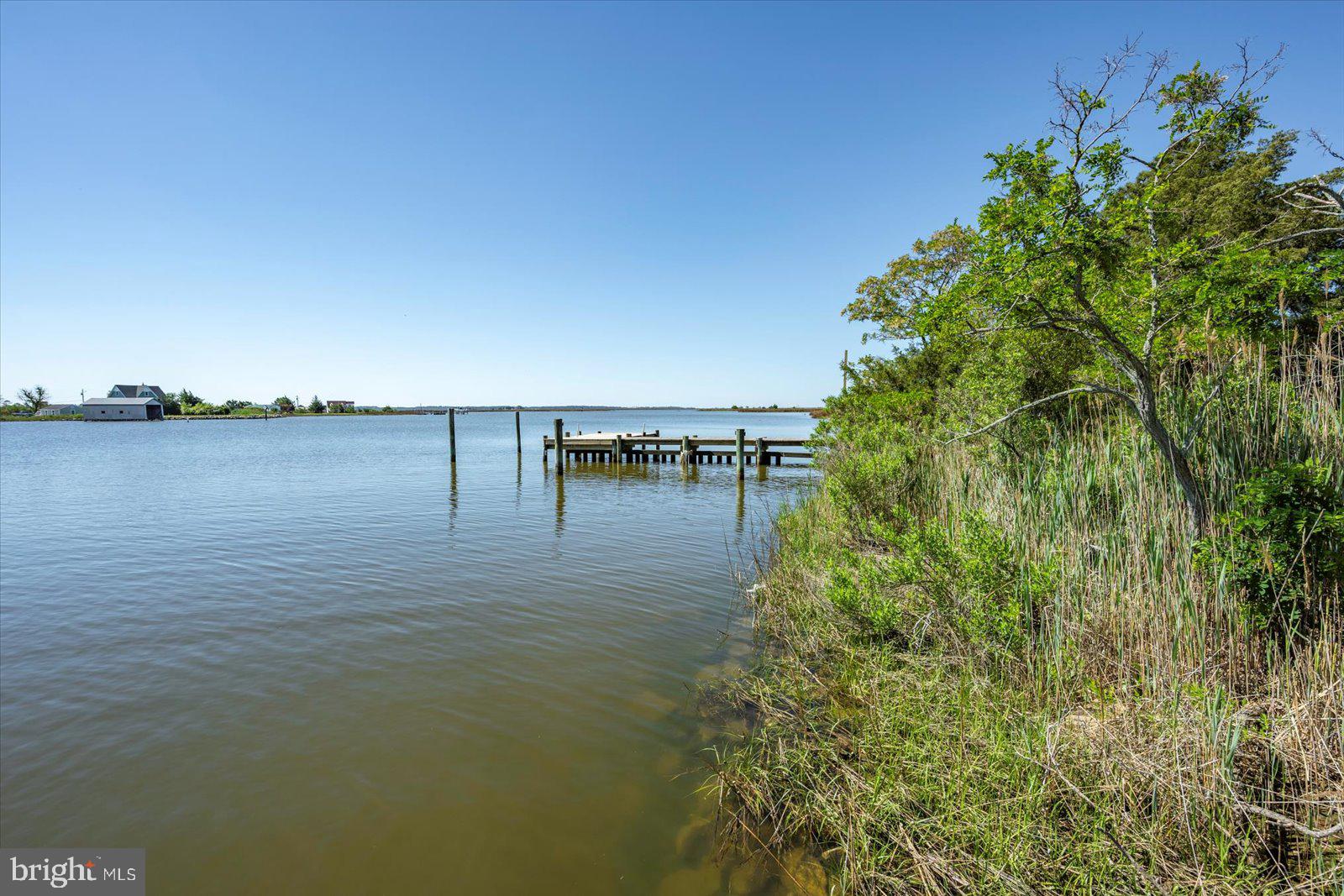 27066 Annie Hyland Road Princess Anne, MD 21853 - Photo 46 of 69