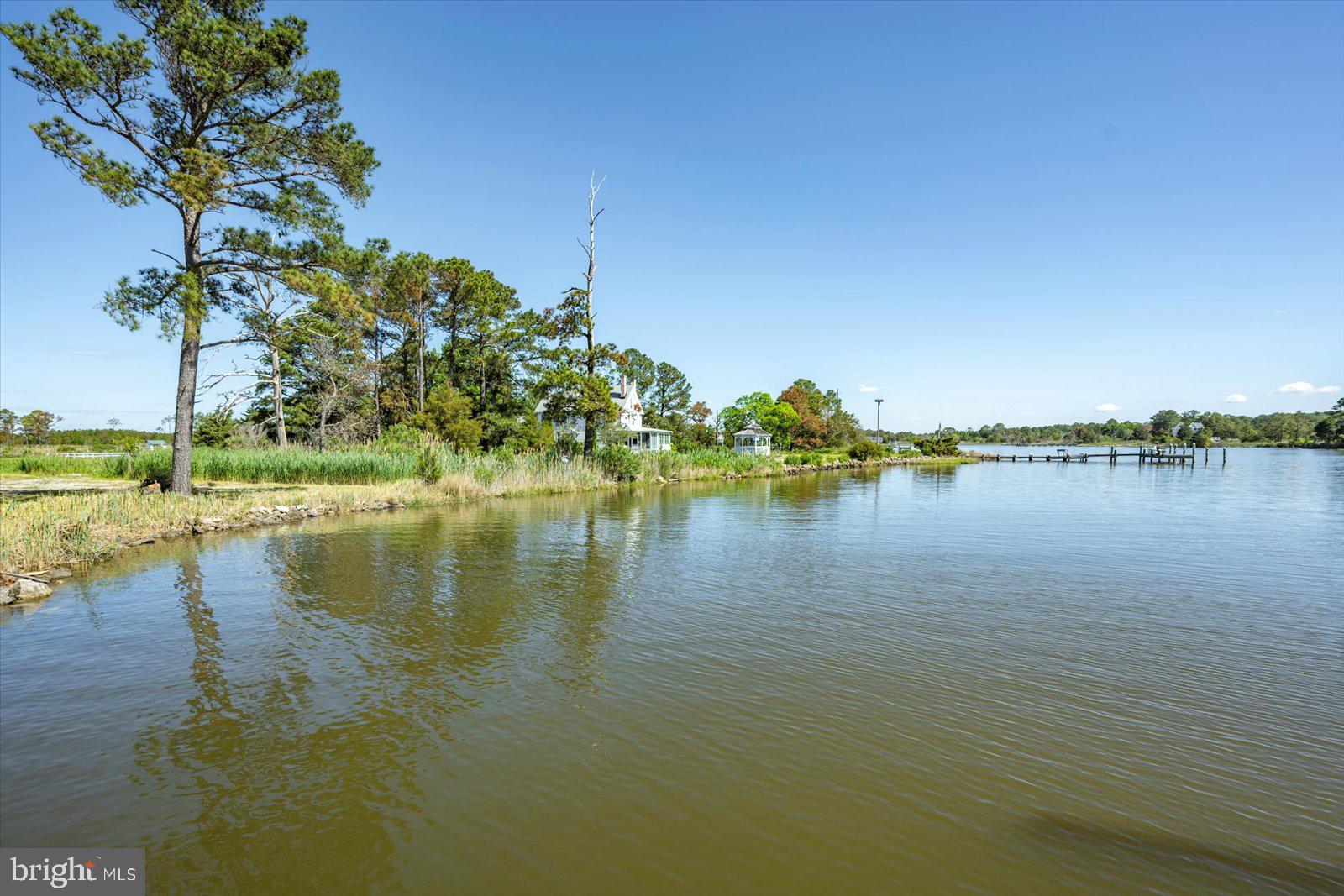 27066 Annie Hyland Road Princess Anne, MD 21853 - Photo 50 of 69