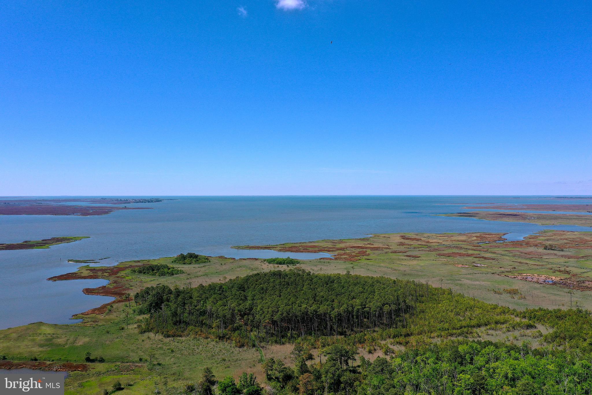 27066 Annie Hyland Road Princess Anne, MD 21853 - Photo 67 of 69