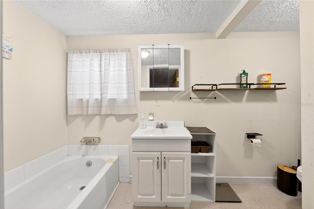 15321 Northeast 160th Avenue Road Salt Springs, FL 32134 - Photo 5 of 22 a bathroom with a sink and a bathtub