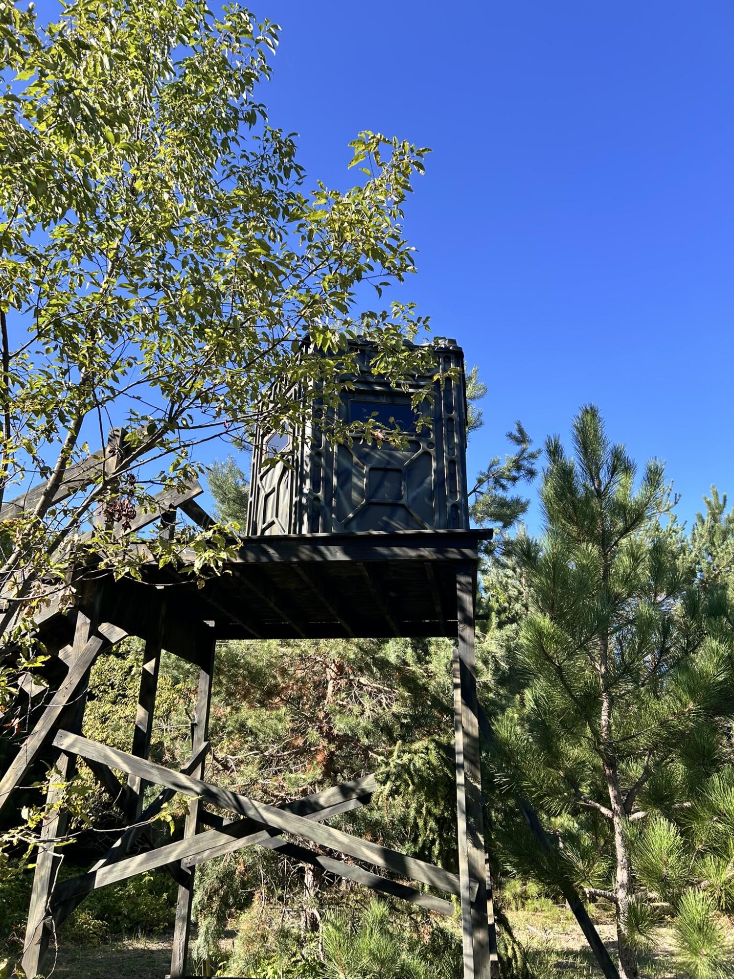 2554 Lee Derrer Road Mancelona, MI 49659 - Photo 11 of 27 IMG_2341