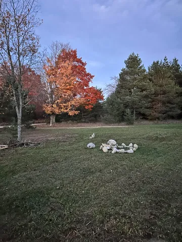 $199,900 | 2554 Lee Derrer Road, Mancelona, MI 49659