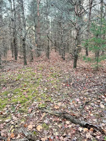 $199,900 | 2554 Lee Derrer Road, Mancelona, MI 49659