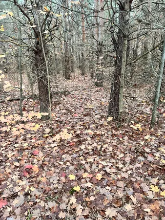 $199,900 | 2554 Lee Derrer Road, Mancelona, MI 49659