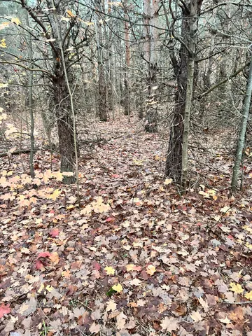 $199,900 | 2554 Lee Derrer Road, Mancelona, MI 49659