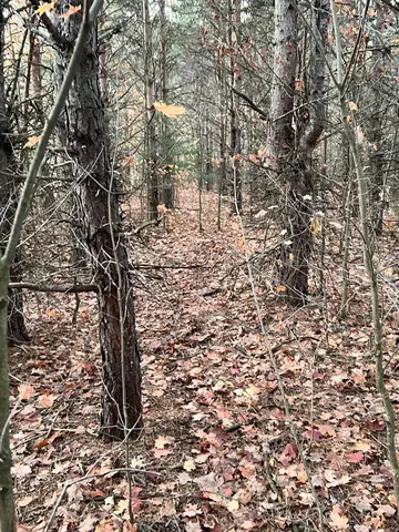 $199,900 | 2554 Lee Derrer Road, Mancelona, MI 49659