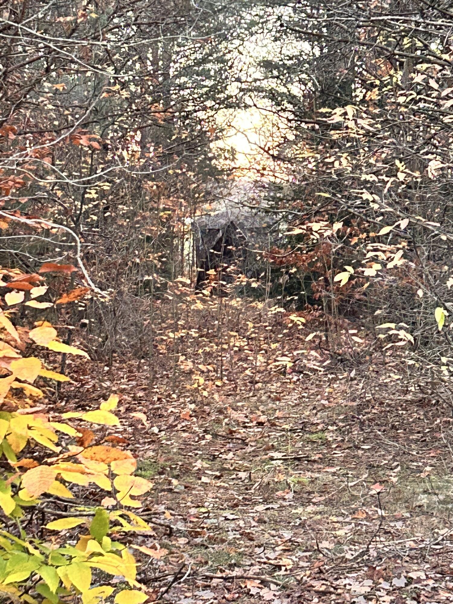 2554 Lee Derrer Road Mancelona, MI 49659 - Photo 22 of 27 IMG_3225