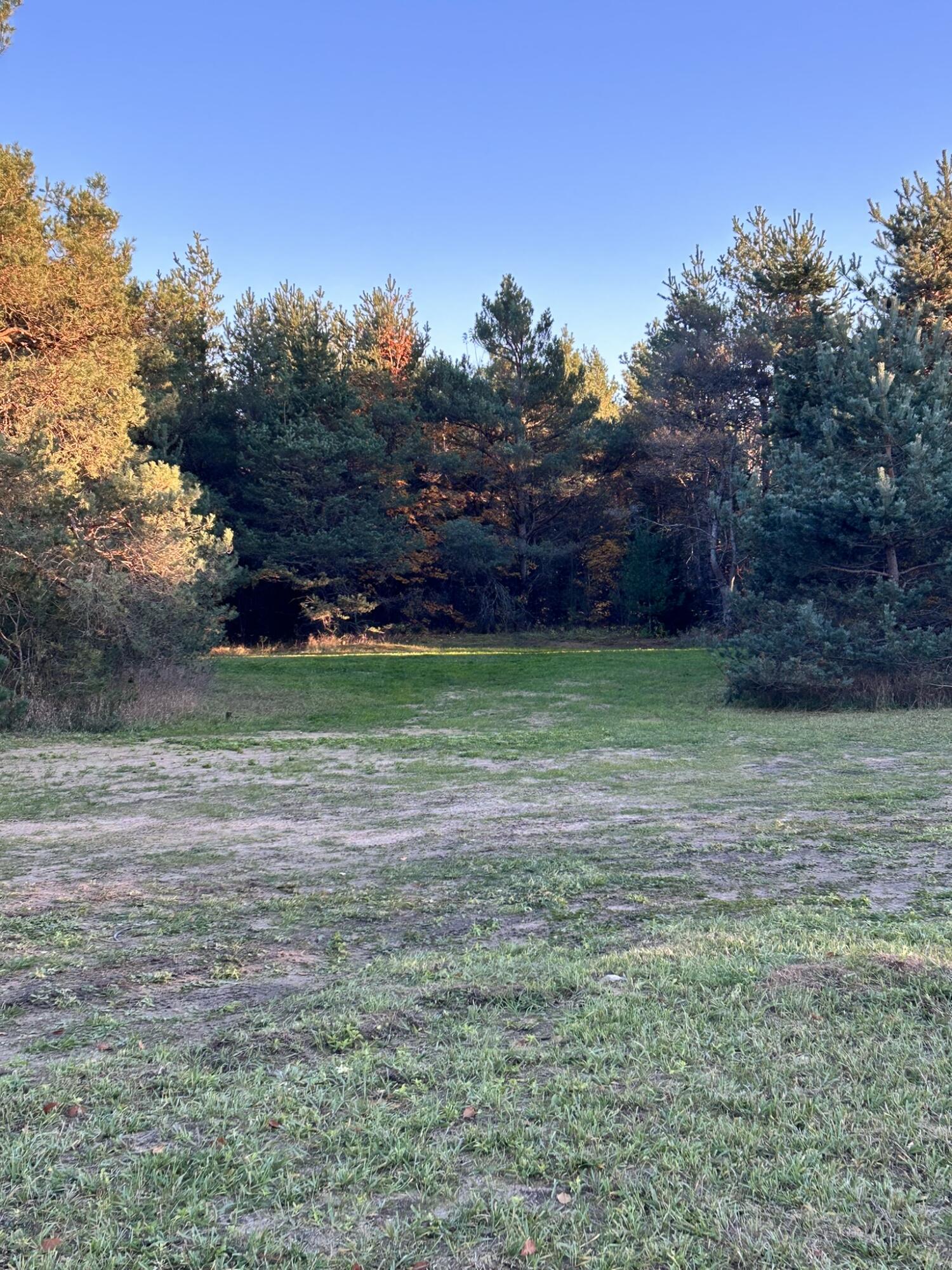 2554 Lee Derrer Road Mancelona, MI 49659 - Photo 25 of 27 IMG_3243