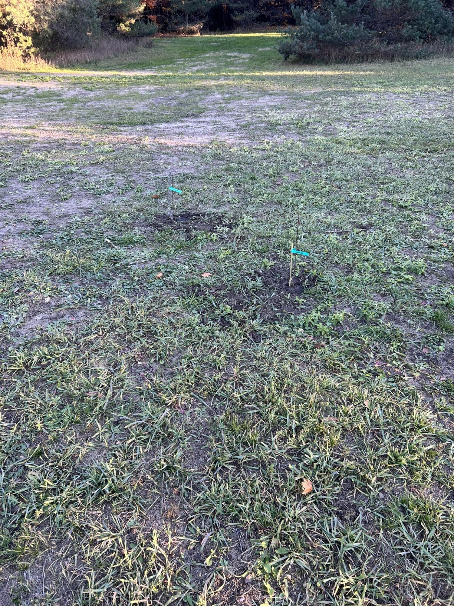 2554 Lee Derrer Road Mancelona, MI 49659 - Photo 26 of 27 IMG_3261