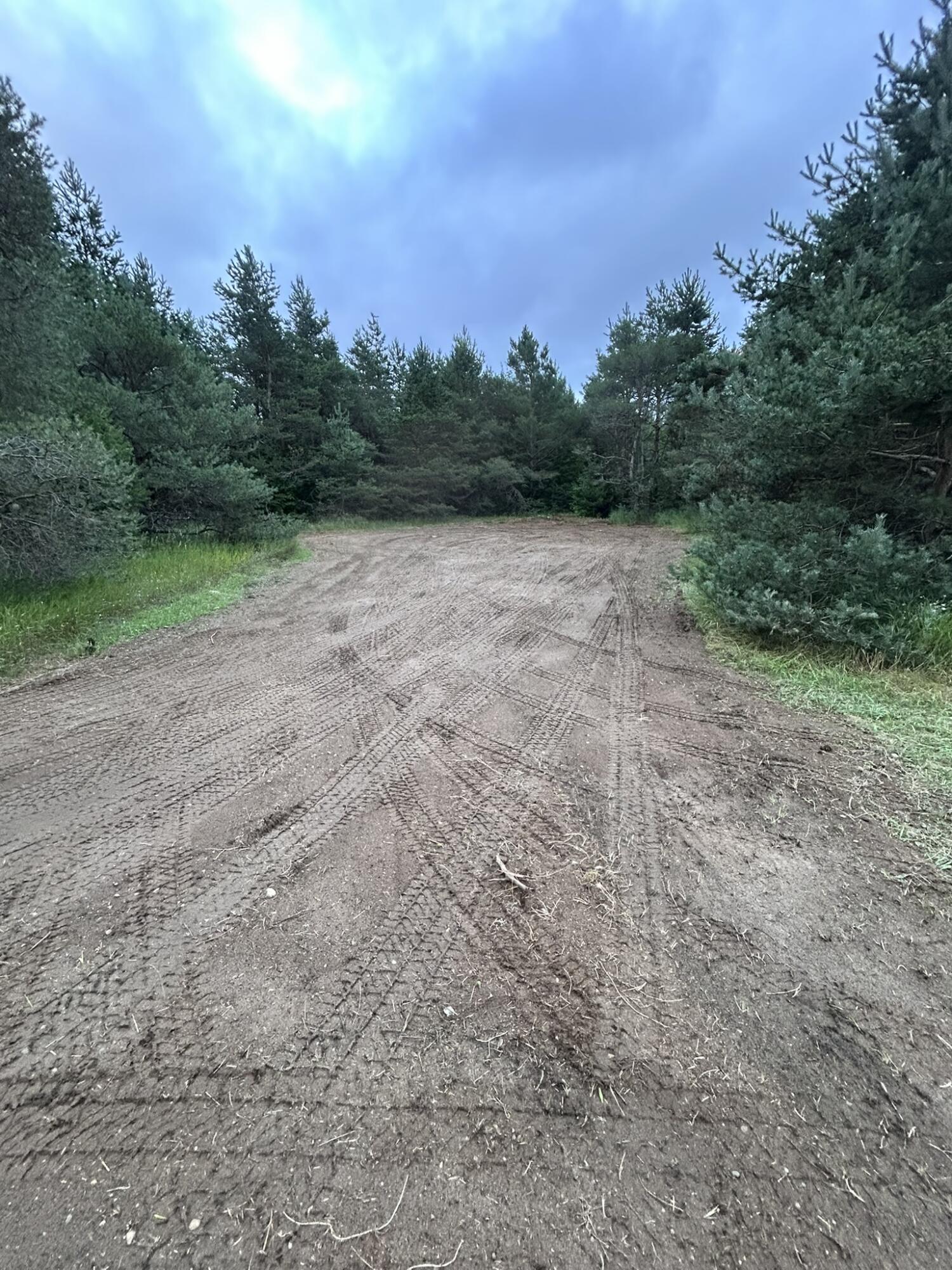 2554 Lee Derrer Road Mancelona, MI 49659 - Photo 4 of 27 IMG_1970