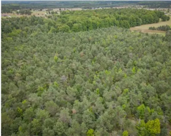 $199,900 | 2554 Lee Derrer Road, Mancelona, MI 49659