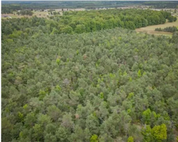 $199,900 | 2554 Lee Derrer Road, Mancelona, MI 49659