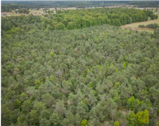 2554 Lee Derrer Road Mancelona, MI 49659 - Photo 5 of 27 IMG_0104