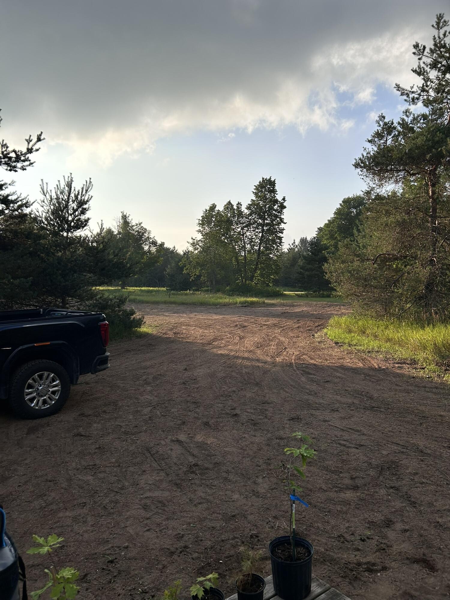 2554 Lee Derrer Road Mancelona, MI 49659 - Photo 6 of 27 IMG_1978