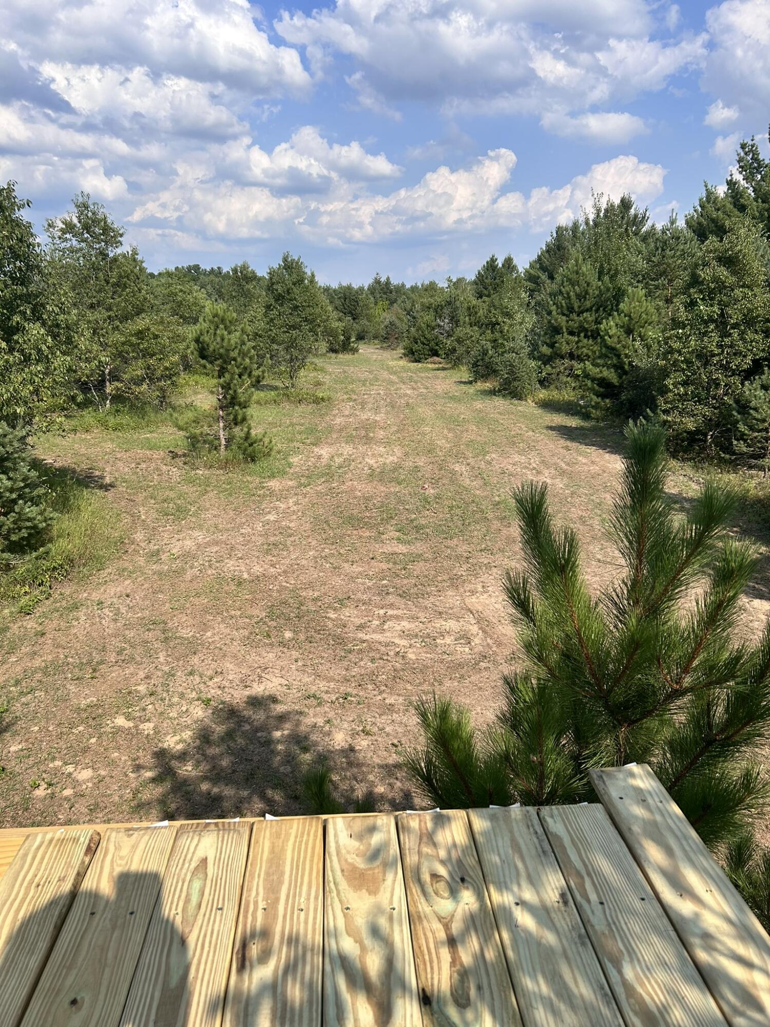 2554 Lee Derrer Road Mancelona, MI 49659 - Photo 7 of 27 IMG_2107