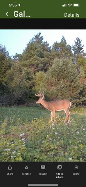 2554 Lee Derrer Road Mancelona, MI 49659 - Photo 9 of 27 IMG_2439