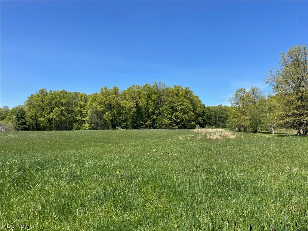 Clark Road Atwater, OH 44201 - Photo 4 of 33