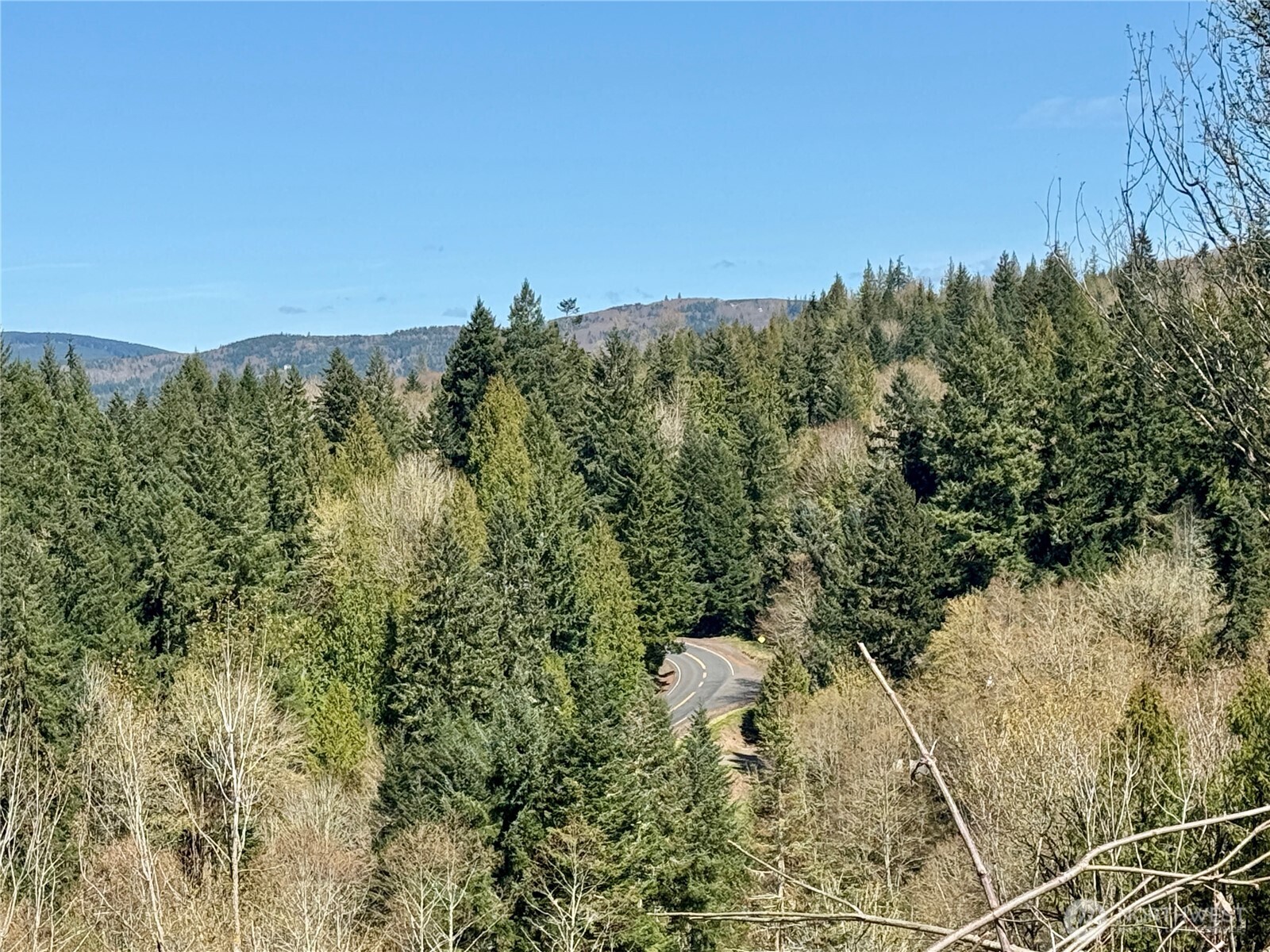 555 Kool Road Kelso, WA 98626 - Photo 16 of 37