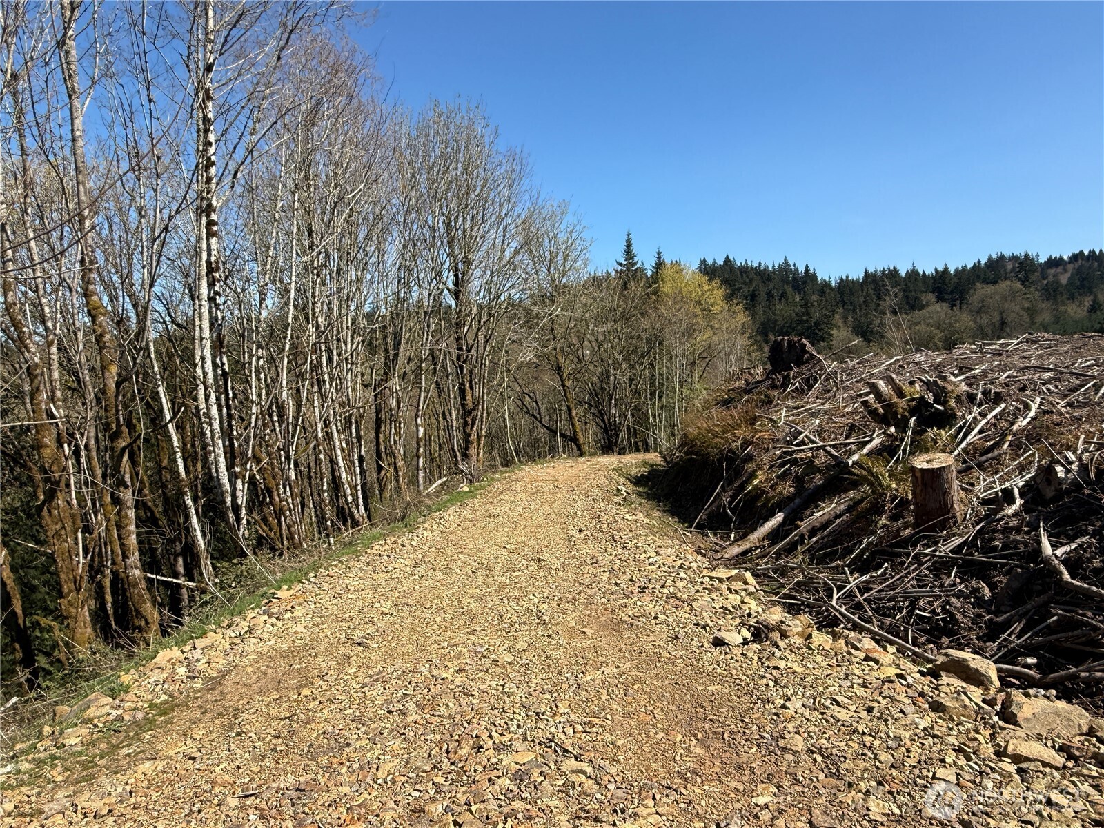 555 Kool Road Kelso, WA 98626 - Photo 18 of 37