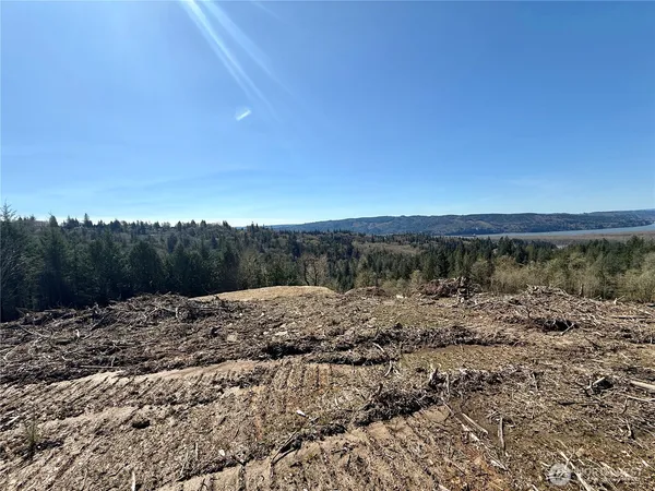 a view of a lush green field with lots of trees in it