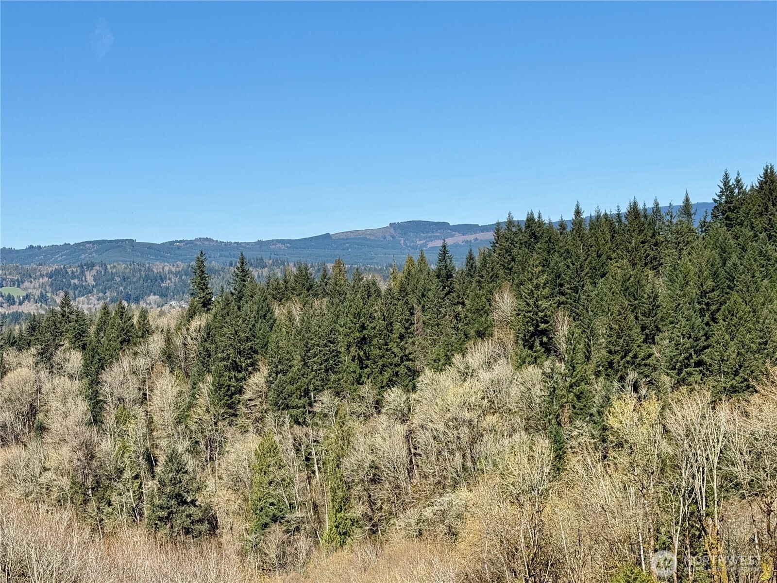 555 Kool Road Kelso, WA 98626 - Photo 37 of 37