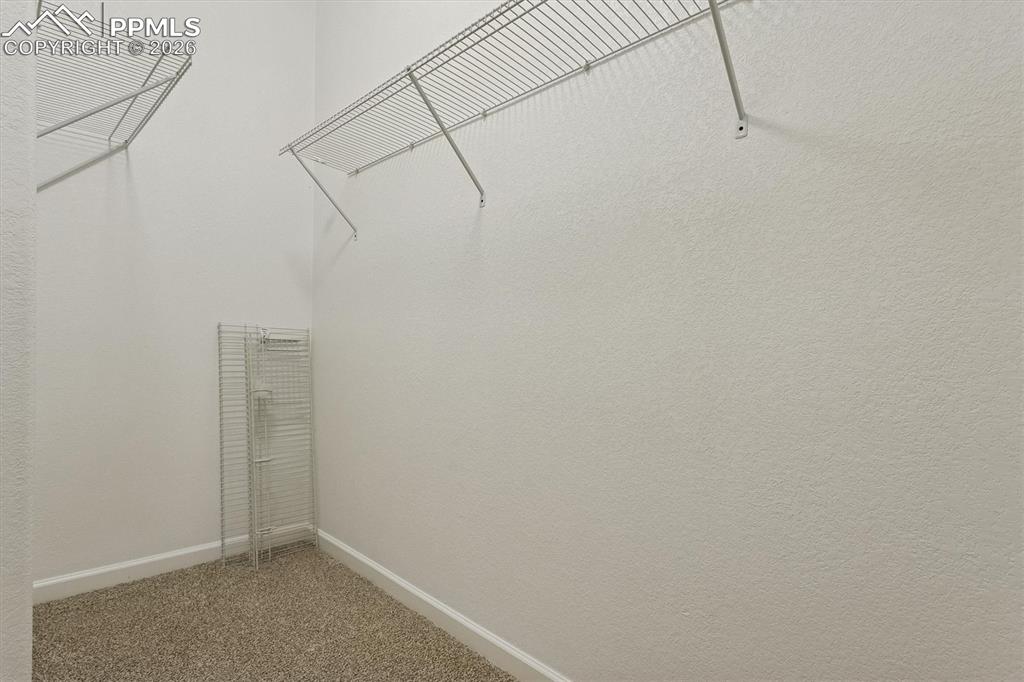 960 Fire Rock Place Colorado Springs, CO 80921 - Photo 15 of 30 a view of a room with racks on the wall