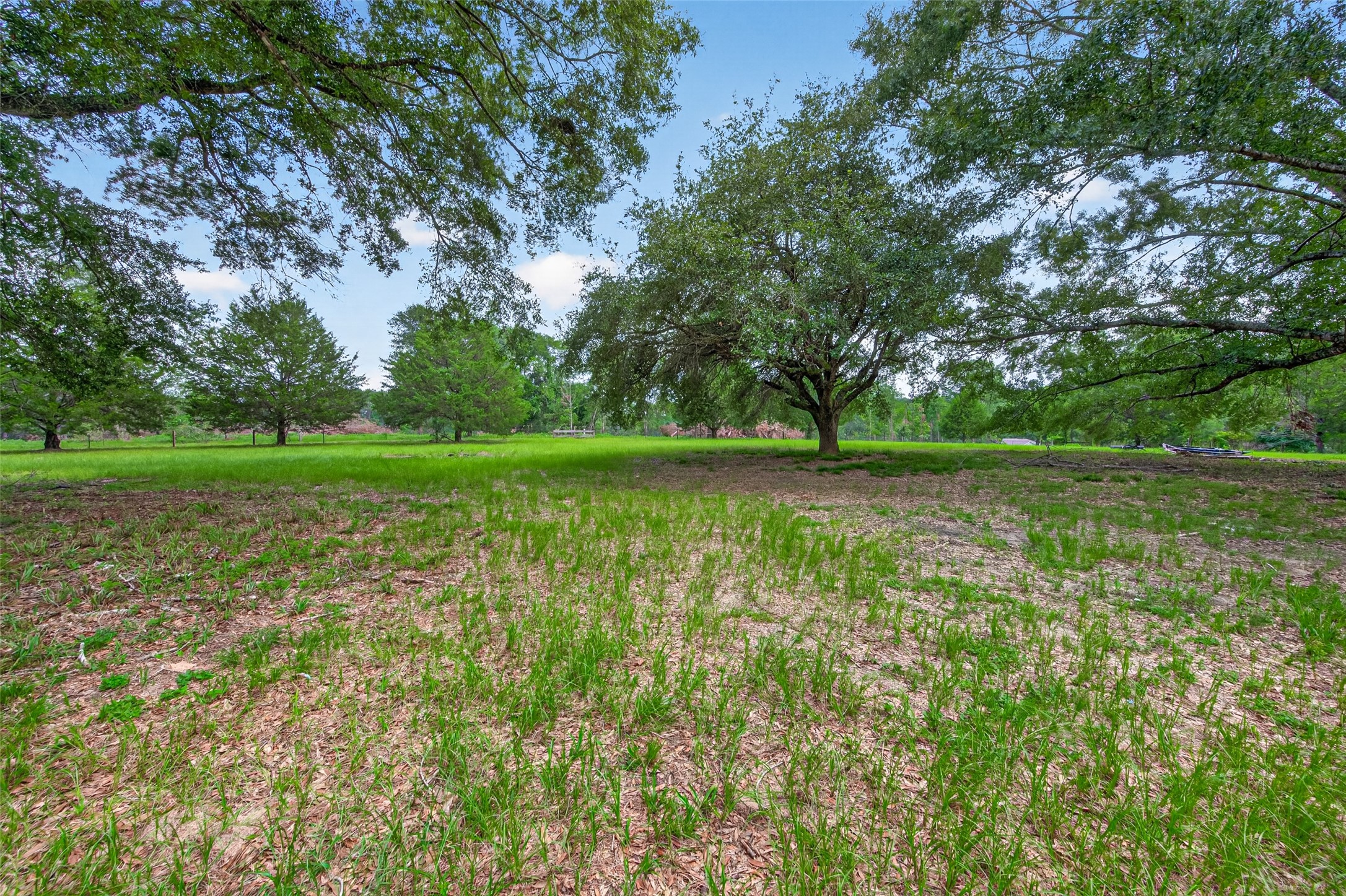 1241 Moody Road Cleveland, TX 77328 - Photo 36 of 47
