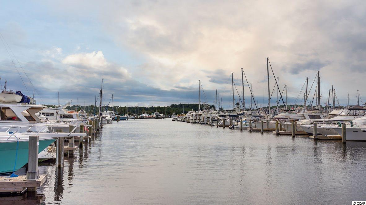 2135 Spring Tree Drive Little River, SC 29566 - Photo 36 of 40