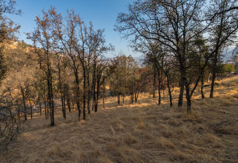 Three Rivers Ca Three Rivers, CA 93271 - Photo 6 of 11 Brunson-6