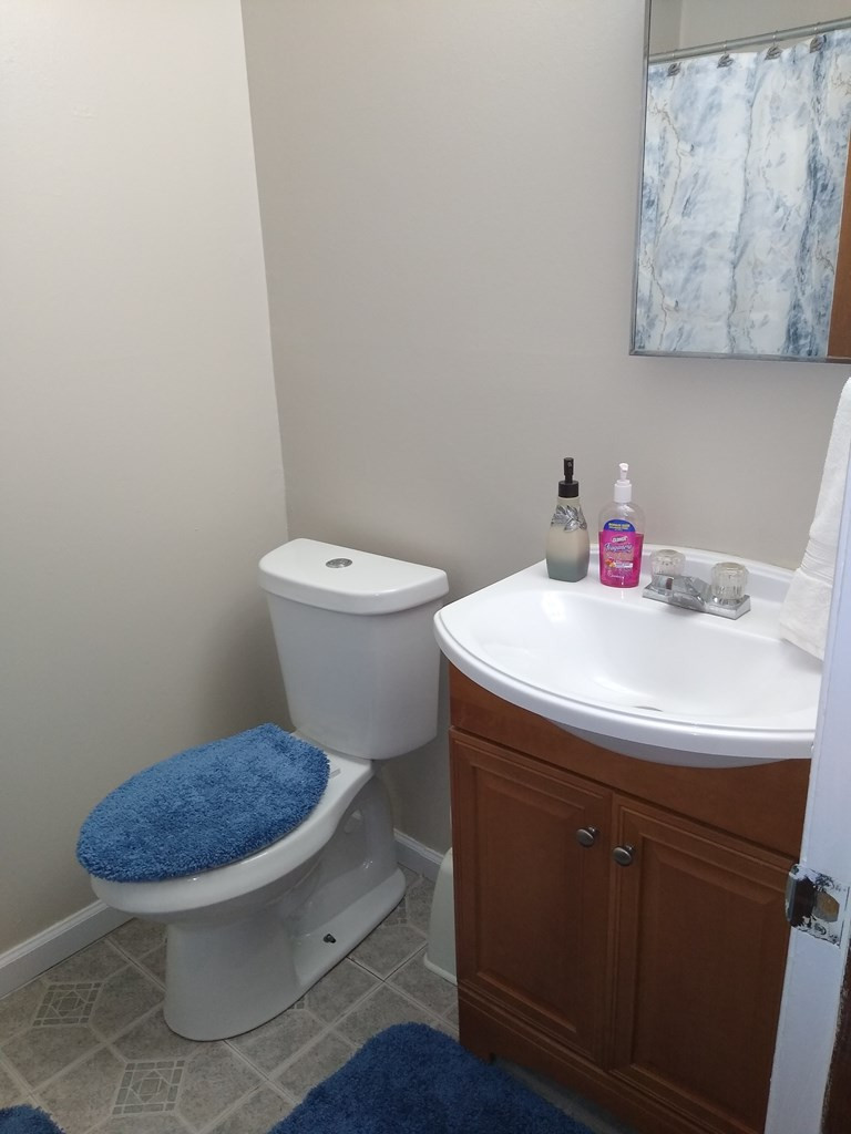 113 State Rd S-5-452 Bamberg, SC 29003 - Photo 21 of 26 Photo 21