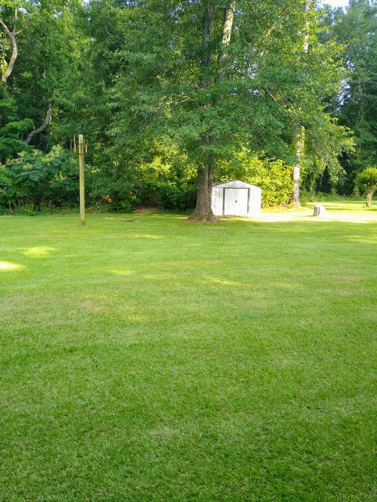 113 State Rd S-5-452 Bamberg, SC 29003 - Photo 25 of 26 Photo 25