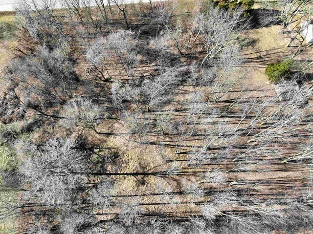 $49,500 | Troy Road, Washington, IN 47501