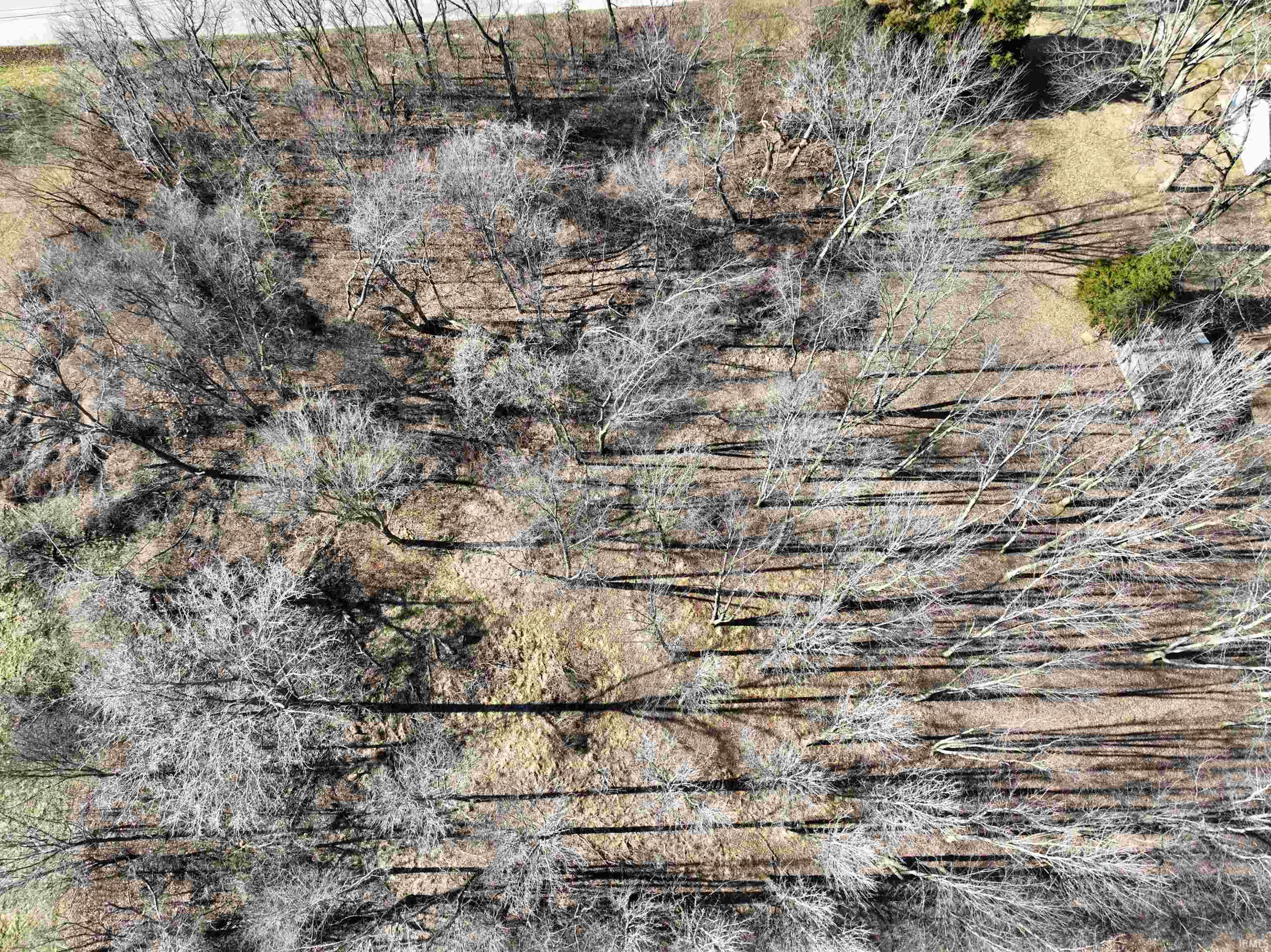 Troy Road Washington, IN 47501 - Photo 7 of 8