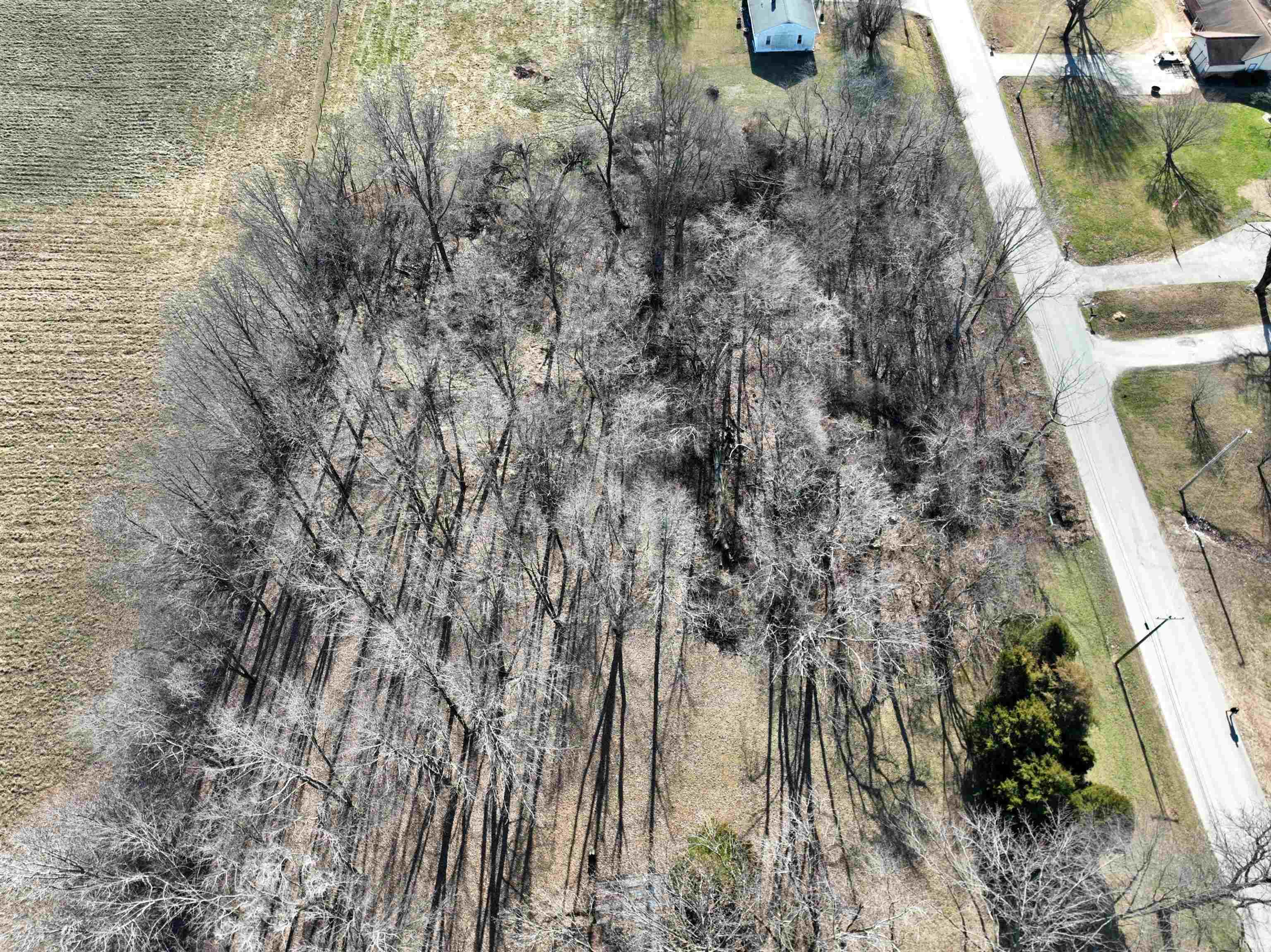 Troy Road Washington, IN 47501 - Photo 8 of 8