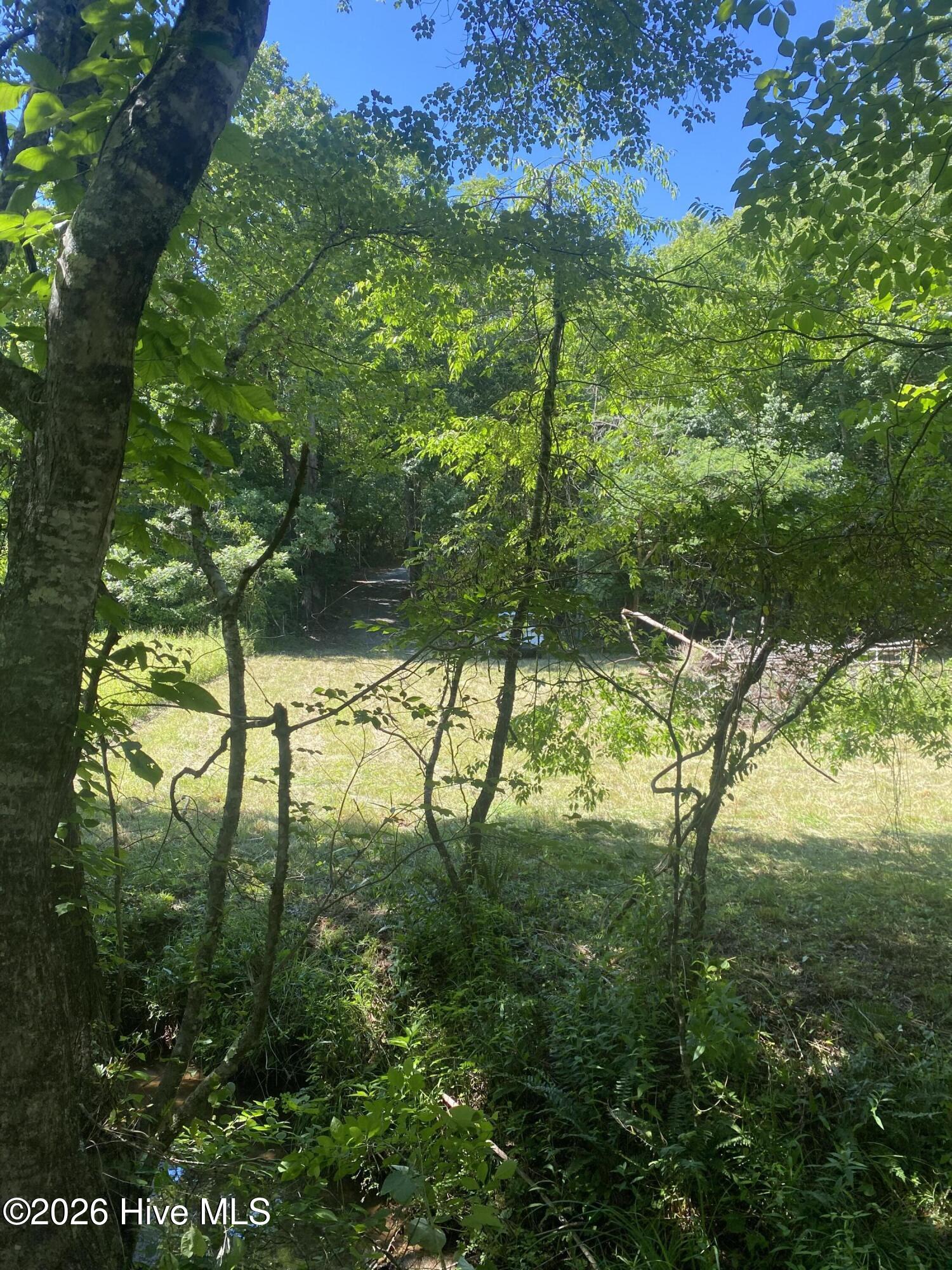 Lot 7 Running Bear Road Murphy, NC 28906 - Photo 8 of 14
