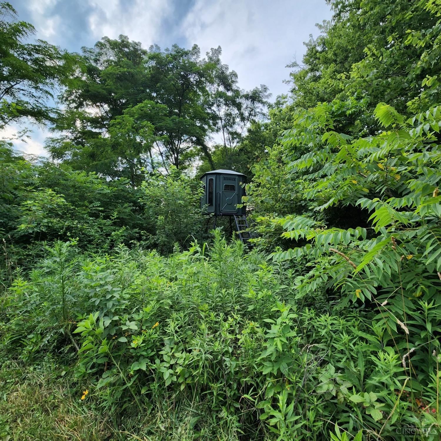 0 Brier Ridge Road West Union, OH 45693 - Photo 68 of 98